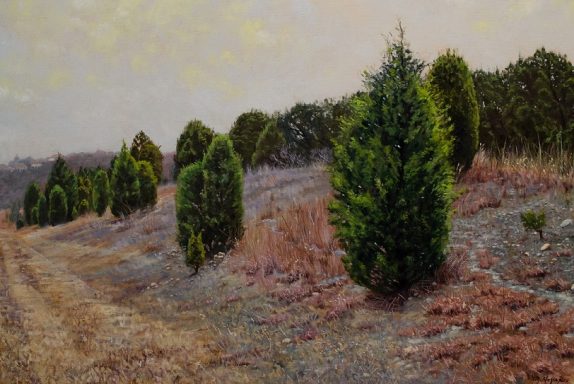 Pintura al oleo sobre una zona de arboles de cedro en Austin, Texas
