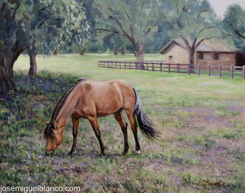 Pintura sobre un caballo pastando en un rancho en Texas.